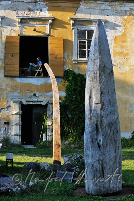 Johann Feilacher and tree-sculptures at the window of his studio