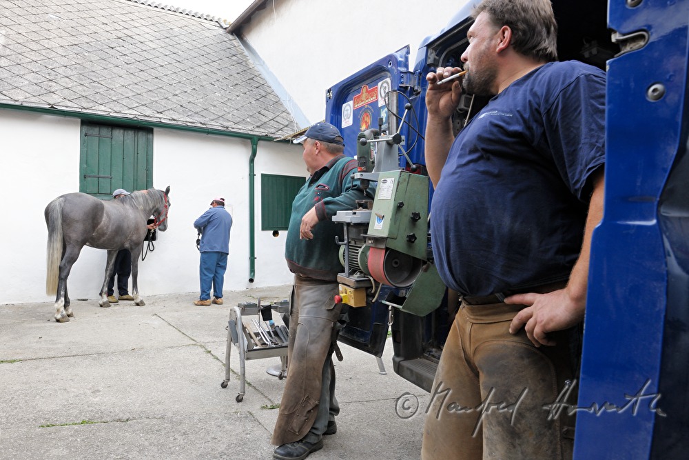 horsehoers in a break