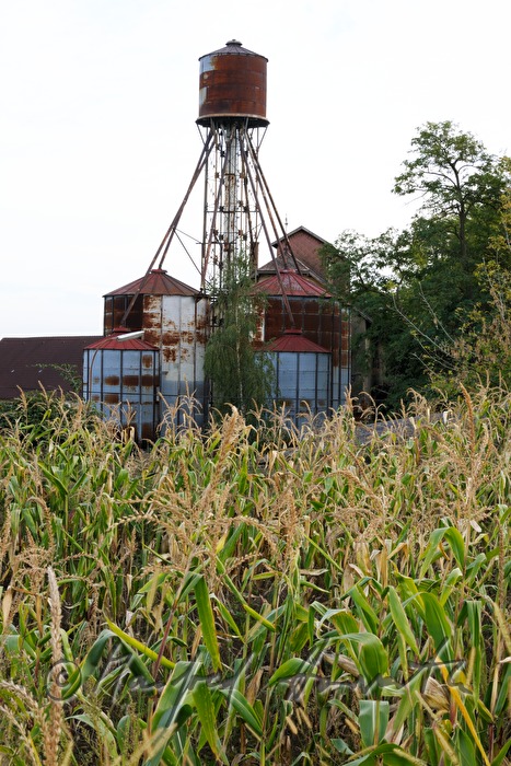 farm with silo made of corrugated sheet metal