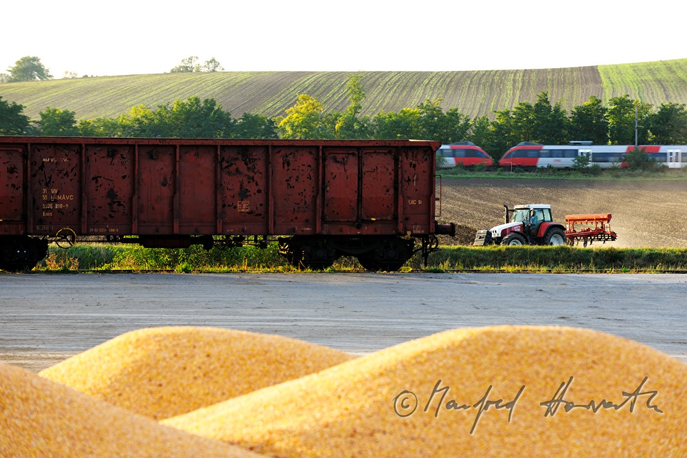 sugar beet on the storage area near the railway station