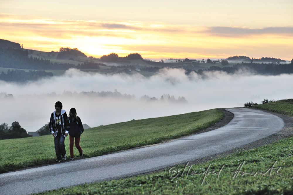 children on the way to school in the morning