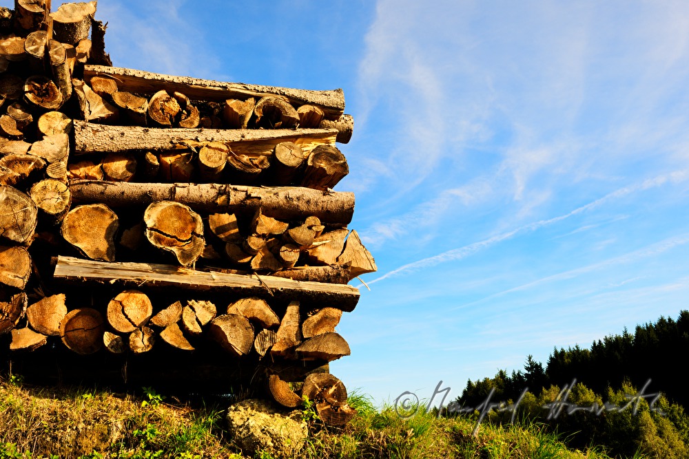 pile of wood