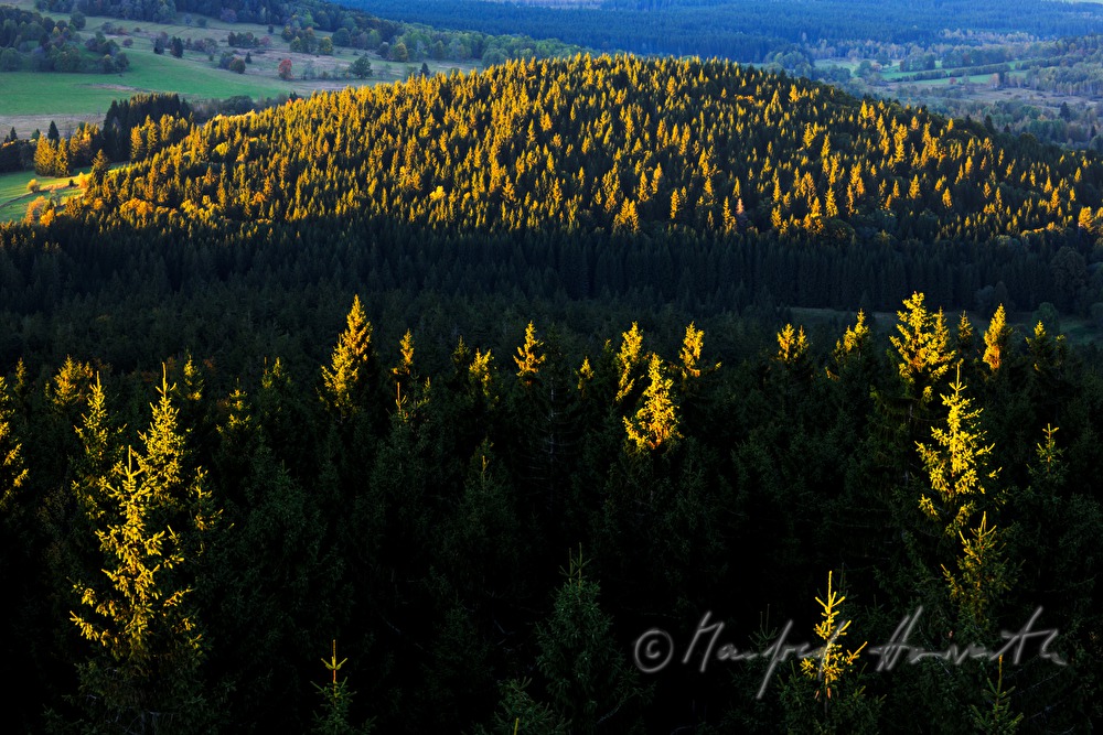 view from Hochficht to Vltava