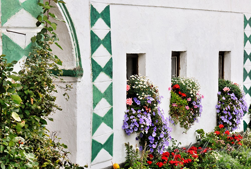 farmhouse with green painting