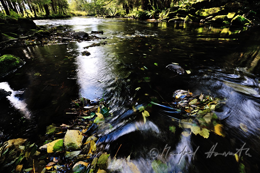 stone in the riverbed is washed by the water
