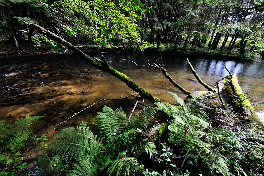 stone in the riverbed is washed by the water