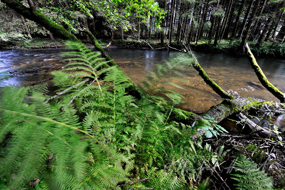 stone in the riverbed is washed by the water