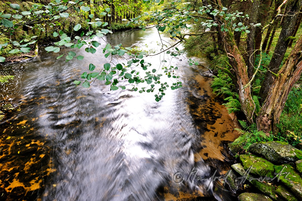 stone in the riverbed is washed by the water