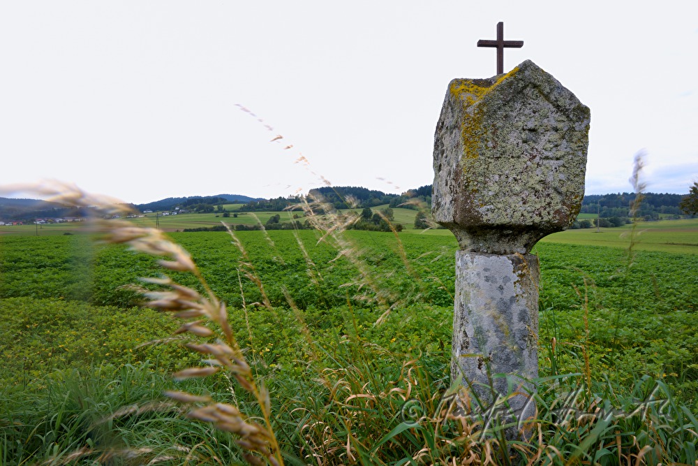 wayside shrine with a crucifix in a field