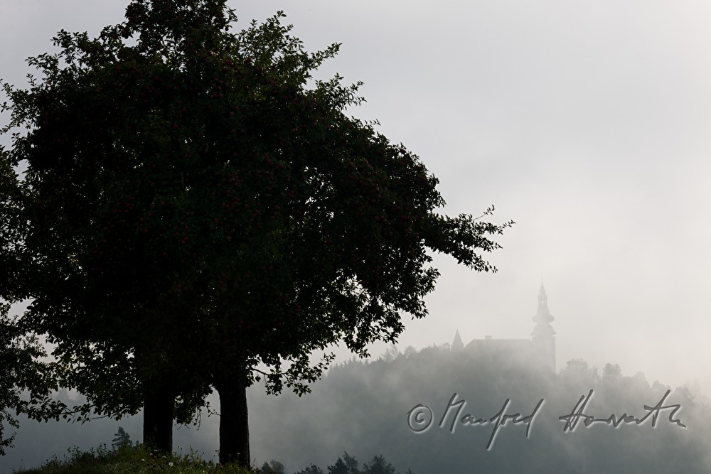 castle Weinberg in the morning mist