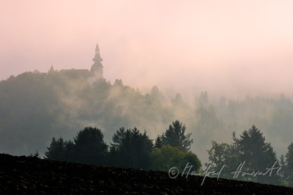 castle Weinberg in the morning mist