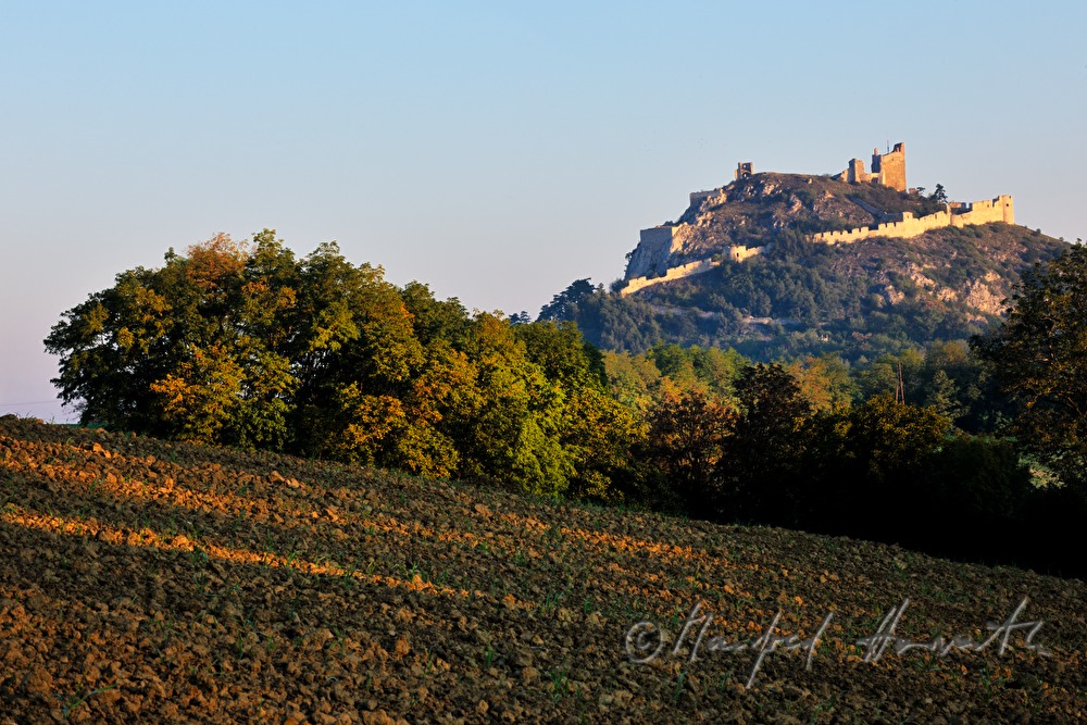 castle ruins of Staatz from the 11 th century