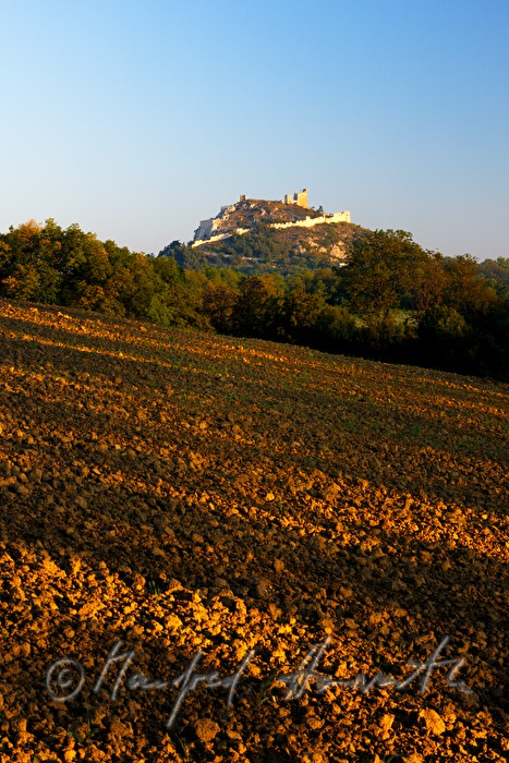castle ruins of Staatz from the 11 th century