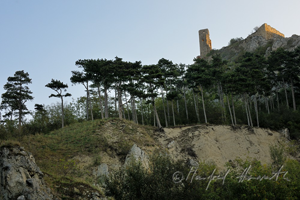 castle ruins of Staatz from the 11 th century