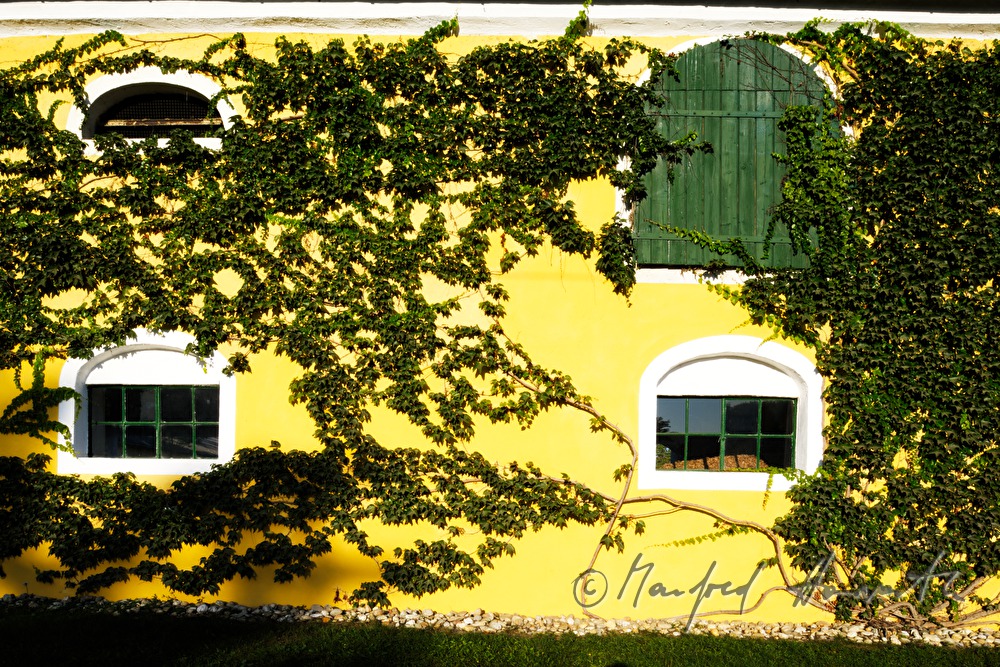 windows and shutters of a barn