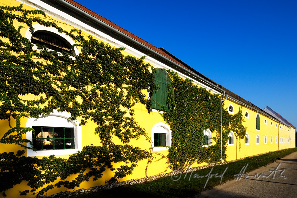 windows and shutters of a barn