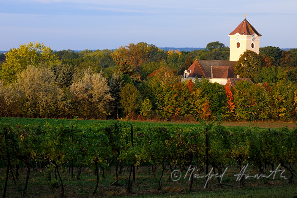 village overview and vineyards