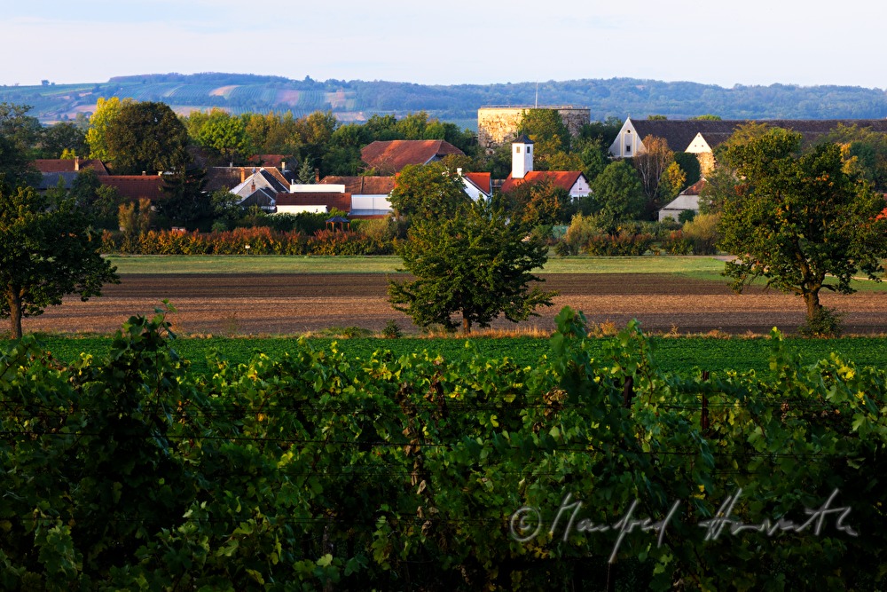 village overview and vineyards