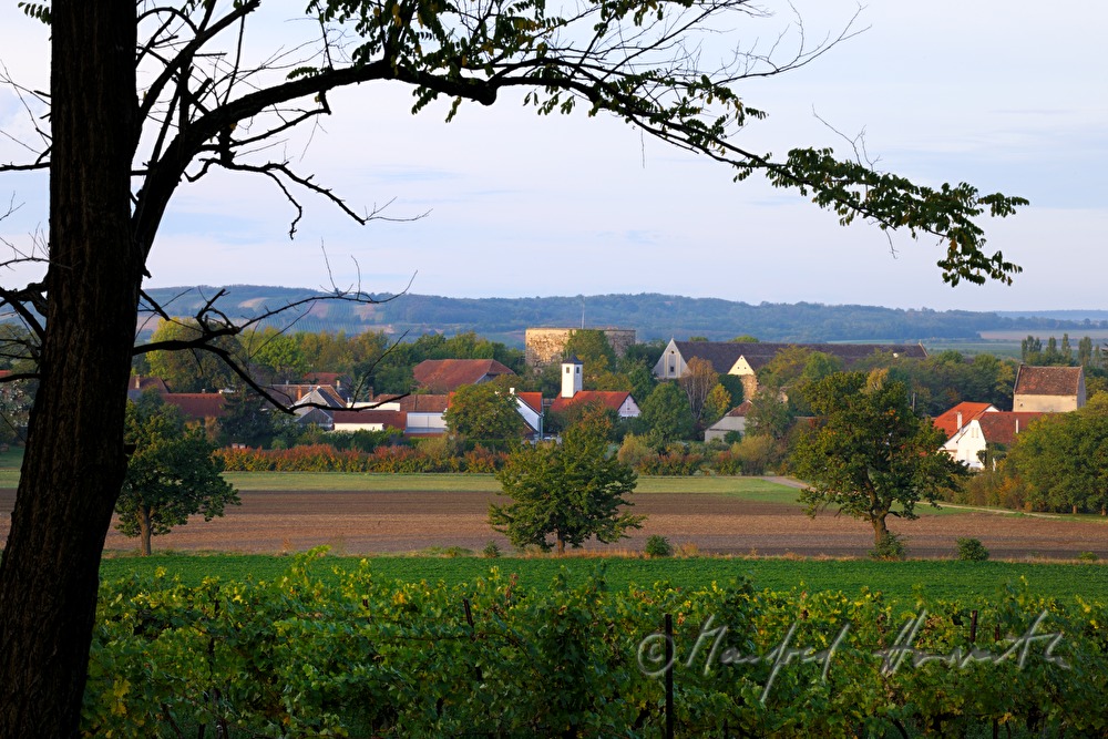 village overview and vineyards