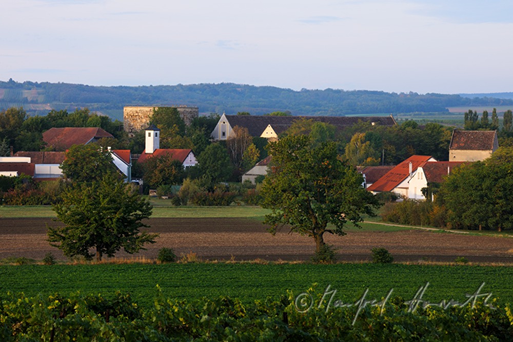 village overview and vineyards