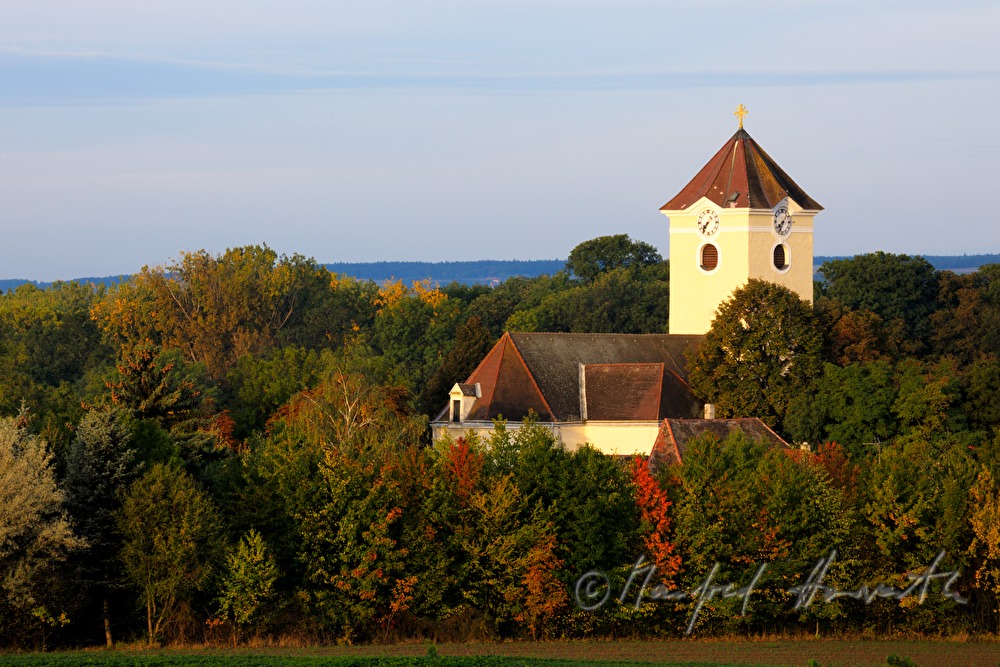 church surrounded by a small forest