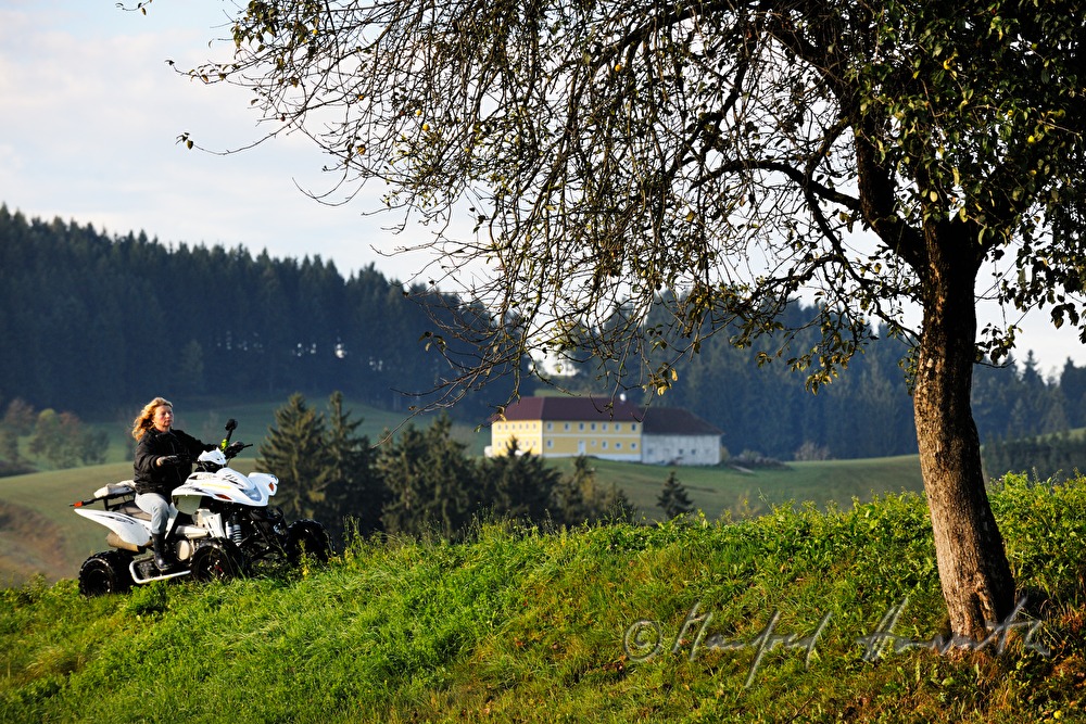 farmers wife crosses the meadow with an ATV