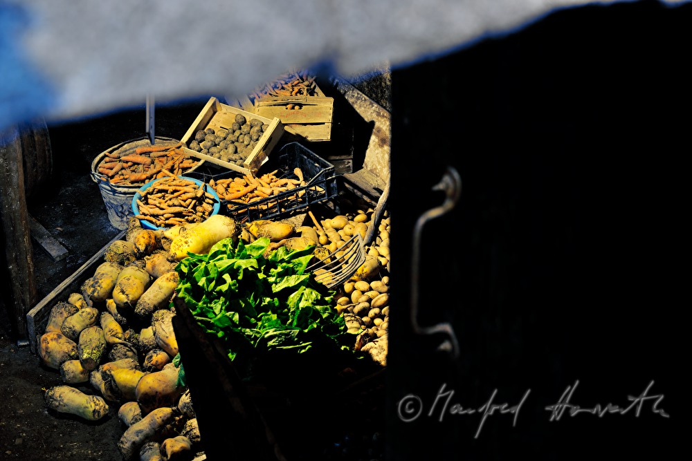 pantry in the cellar of a farmhouse