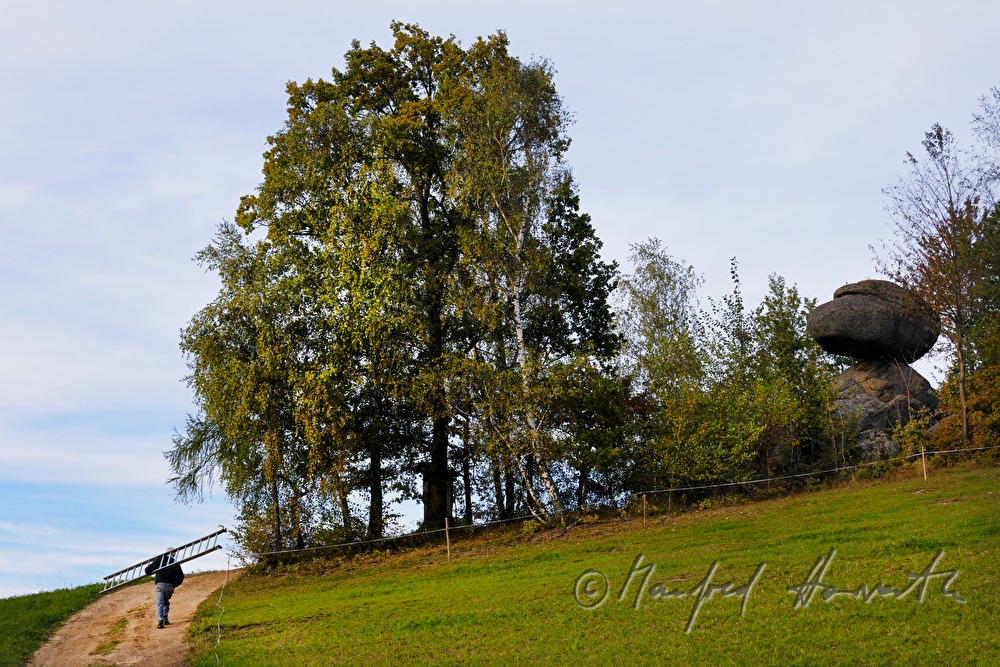 Schwammerling RockNaturdenkmal in Naturpark Muehlviertel