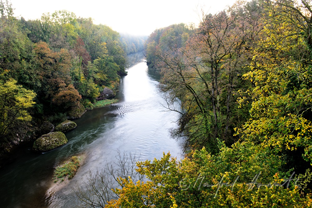 the river Ybbs and autumn forest