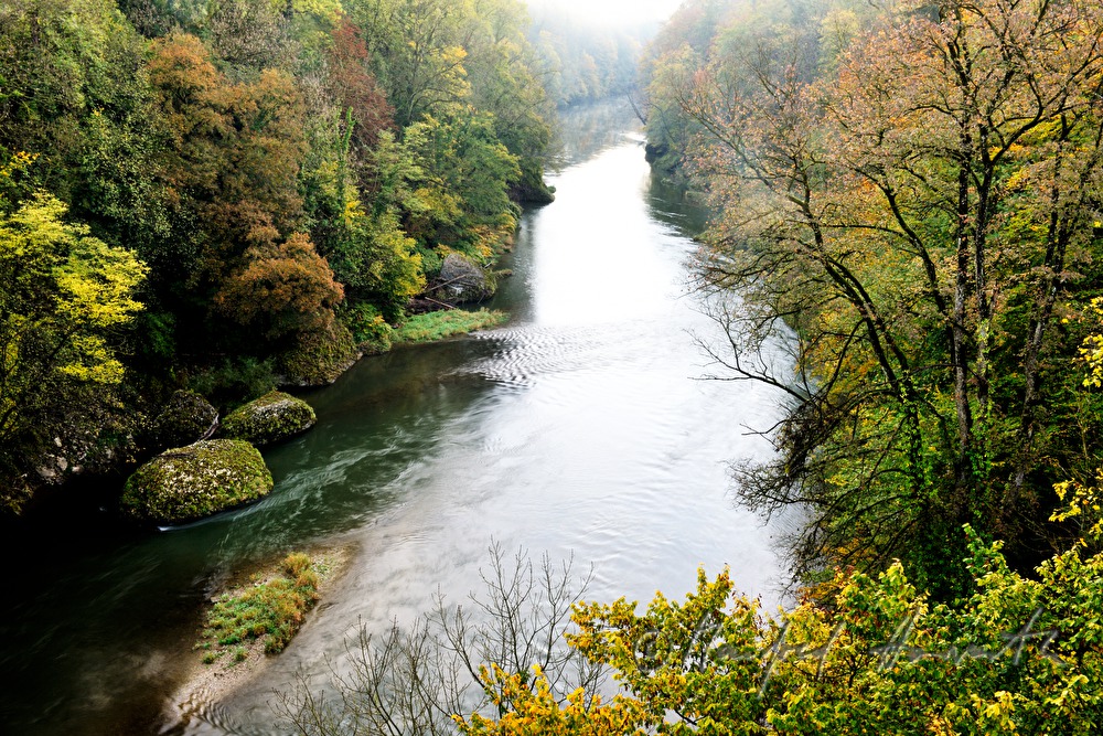 the river Ybbs and autumn forest