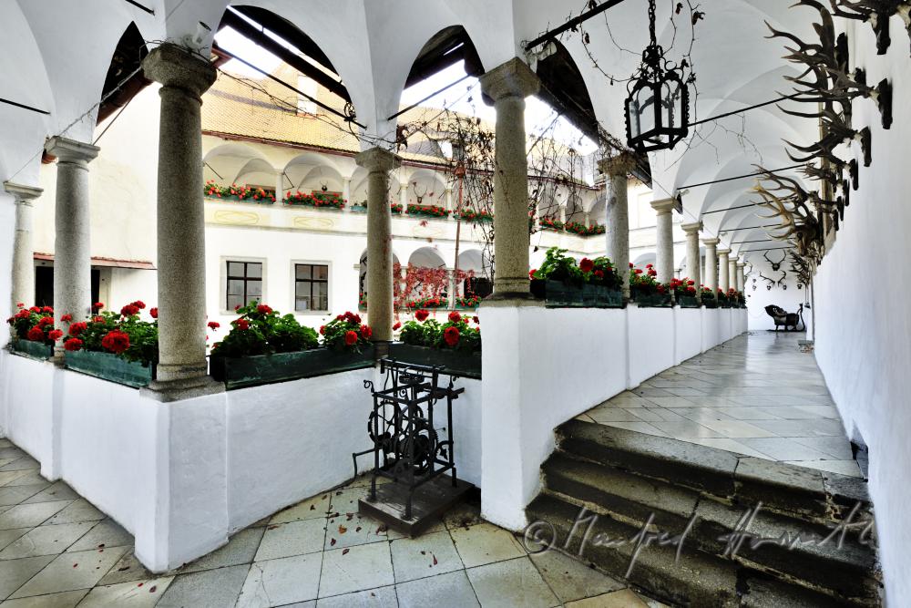 arcade court and deer heads