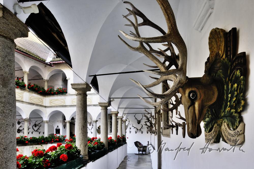 arcade court and deer heads