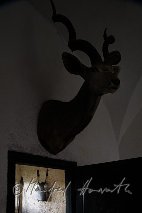 deer head and armour of a knight