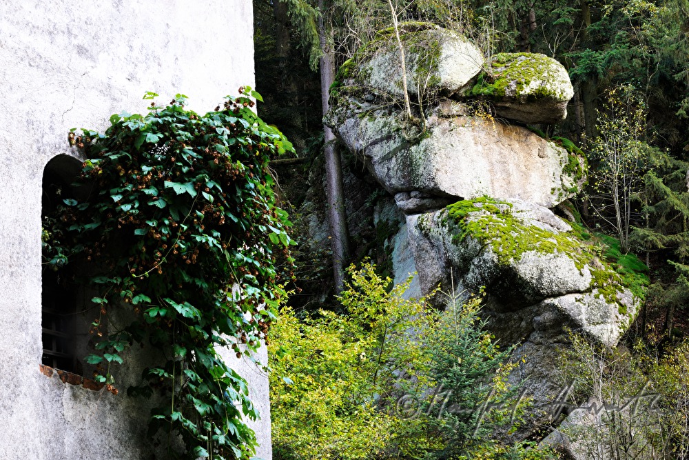 moss-covered granite rock and window