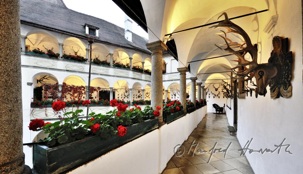 arcade court and deer heads