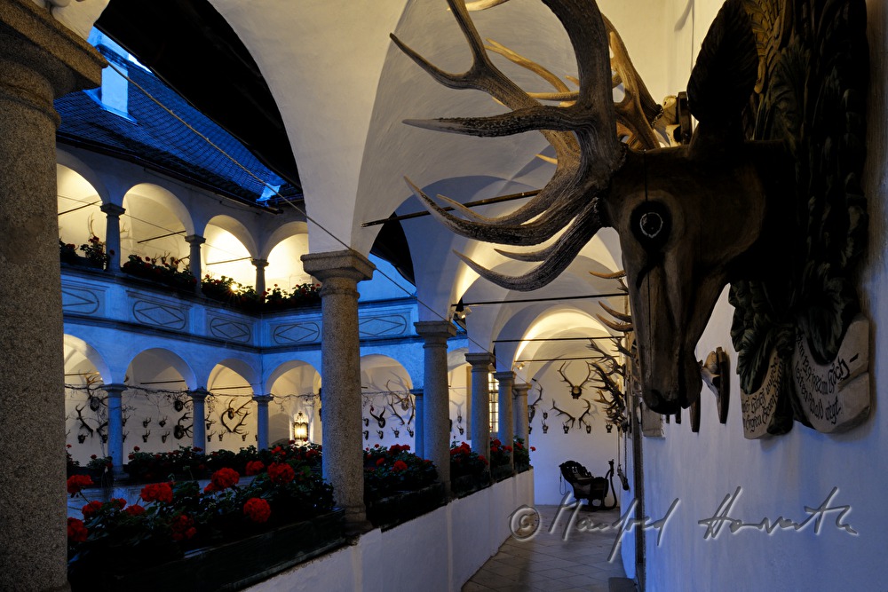 arcade court and deer heads