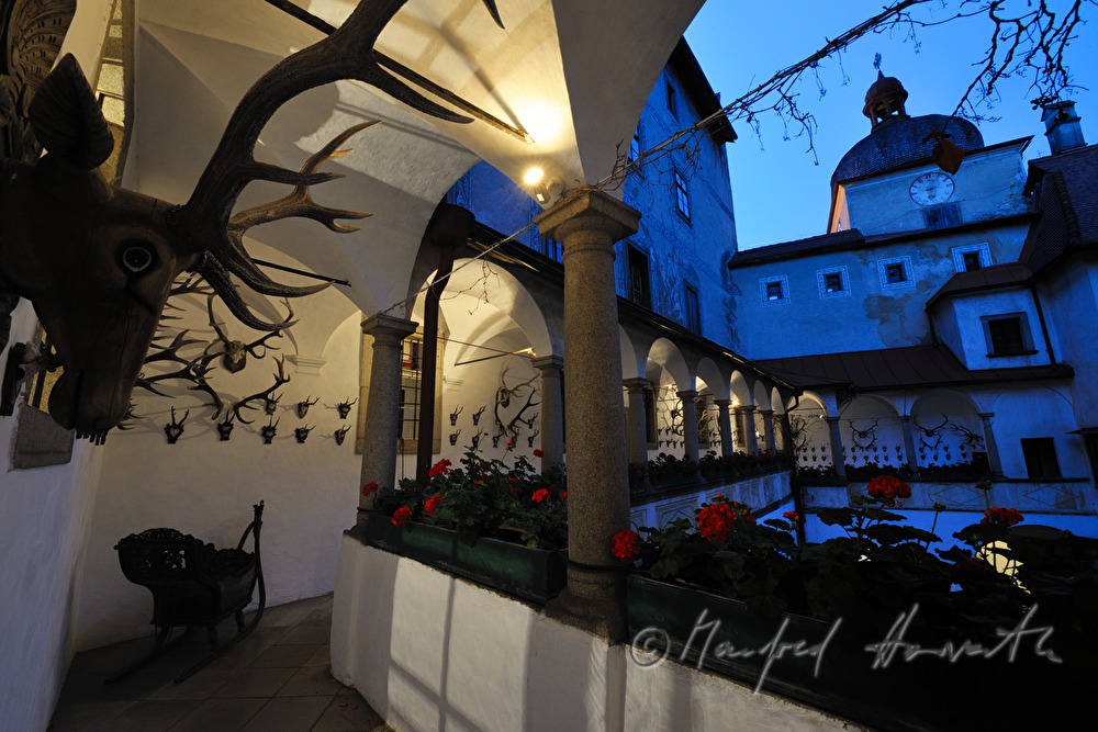 arcade court and deer heads