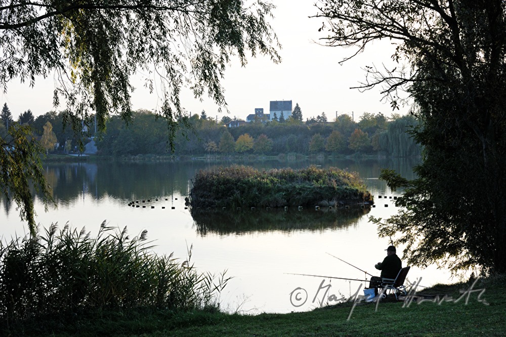fisherman fishing in the pond  