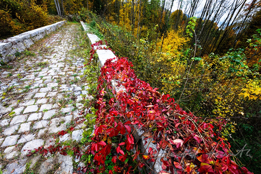 stone bridge of Castle Neuhaus on the Danube