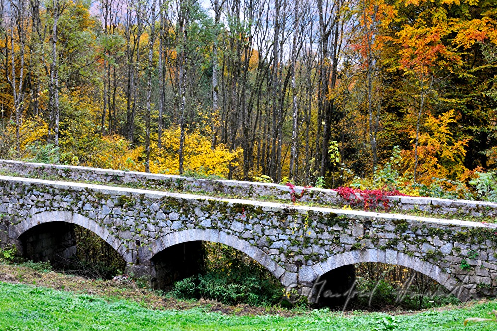 stone bridge of Castle Neuhaus on the Danube