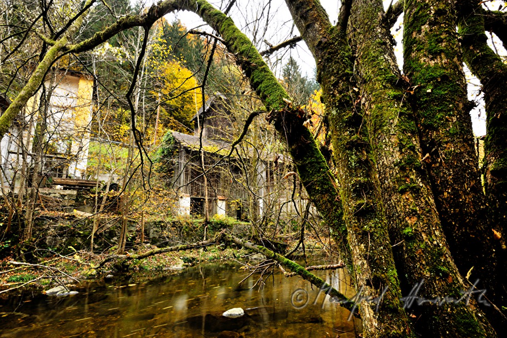outbuilding of the former paper factory