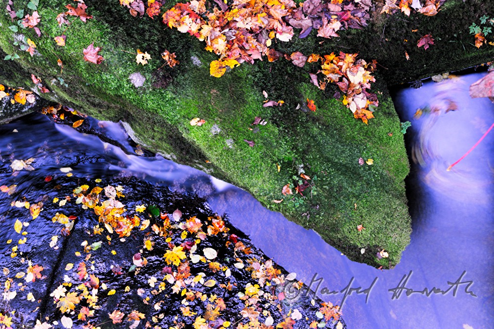 creekbed with bolders and leaves