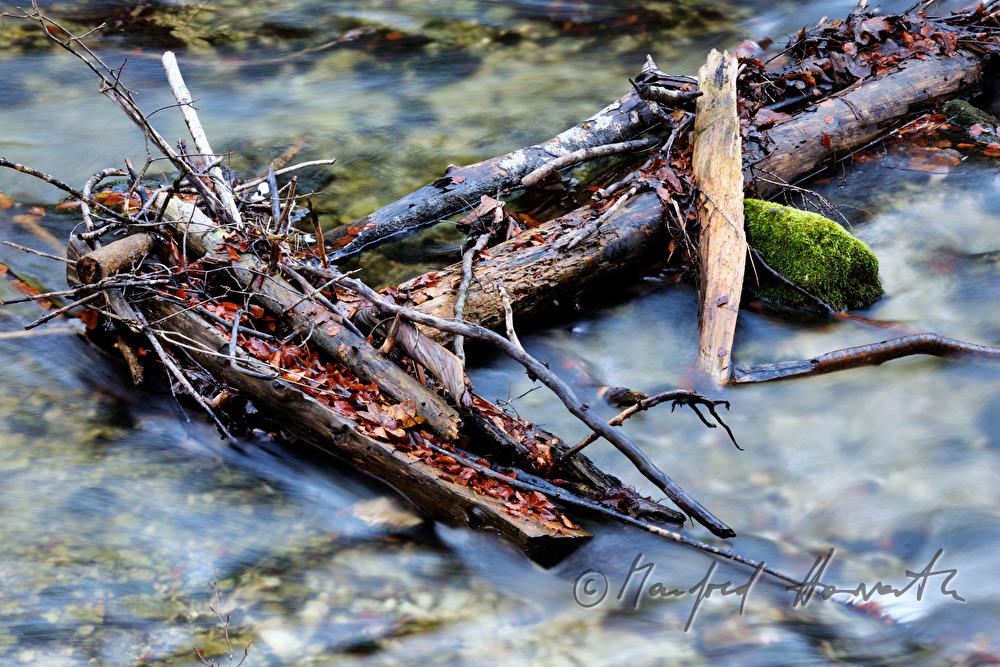 stones covered with moss in the stream 