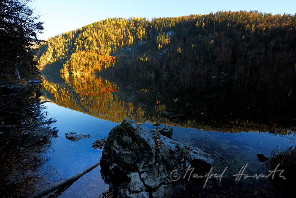 view from the forest to the southern lakeshore