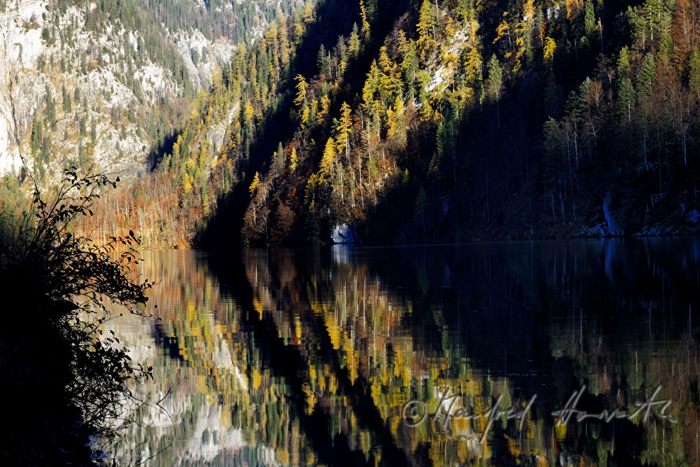 view from the forest to the southern lakeshore