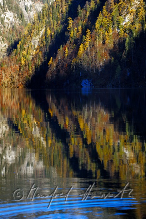 view from the forest to the southern lakeshore