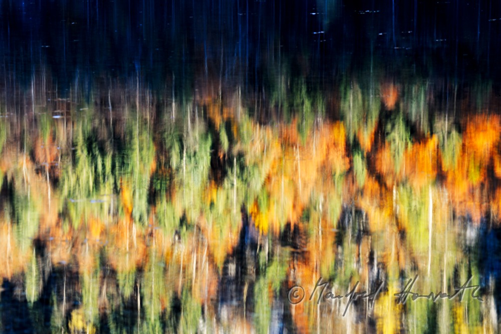 trees in autumnal colors reflect on the water surface