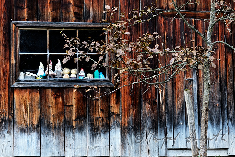 garden gnomes in the window of a wooden barn