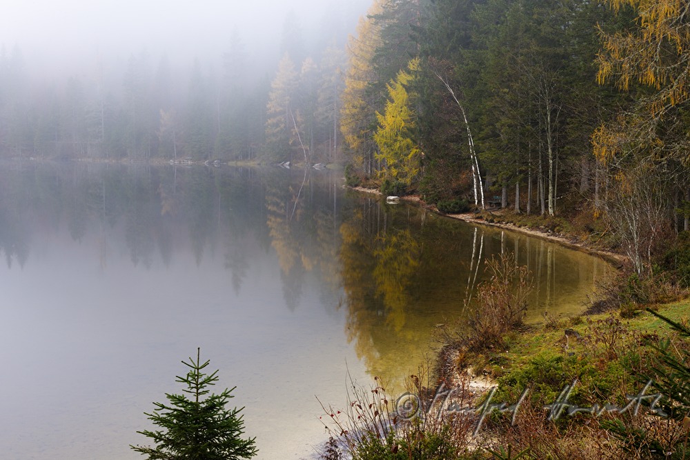 lakeshore of the Ödensee