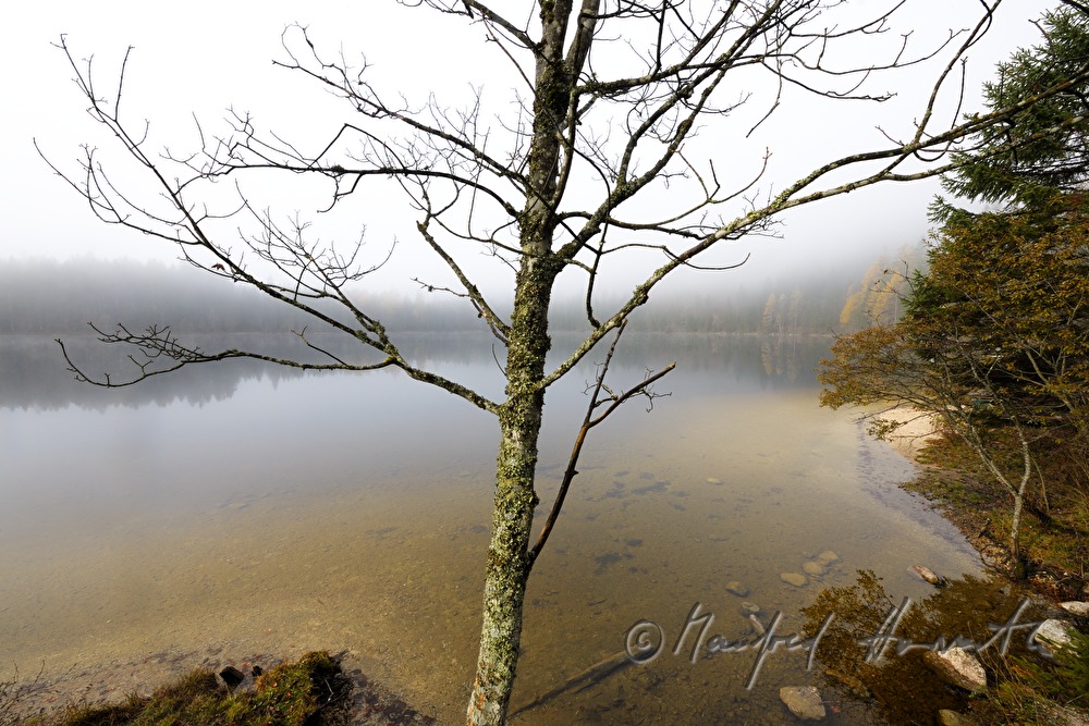 lakeshore of the Ödensee